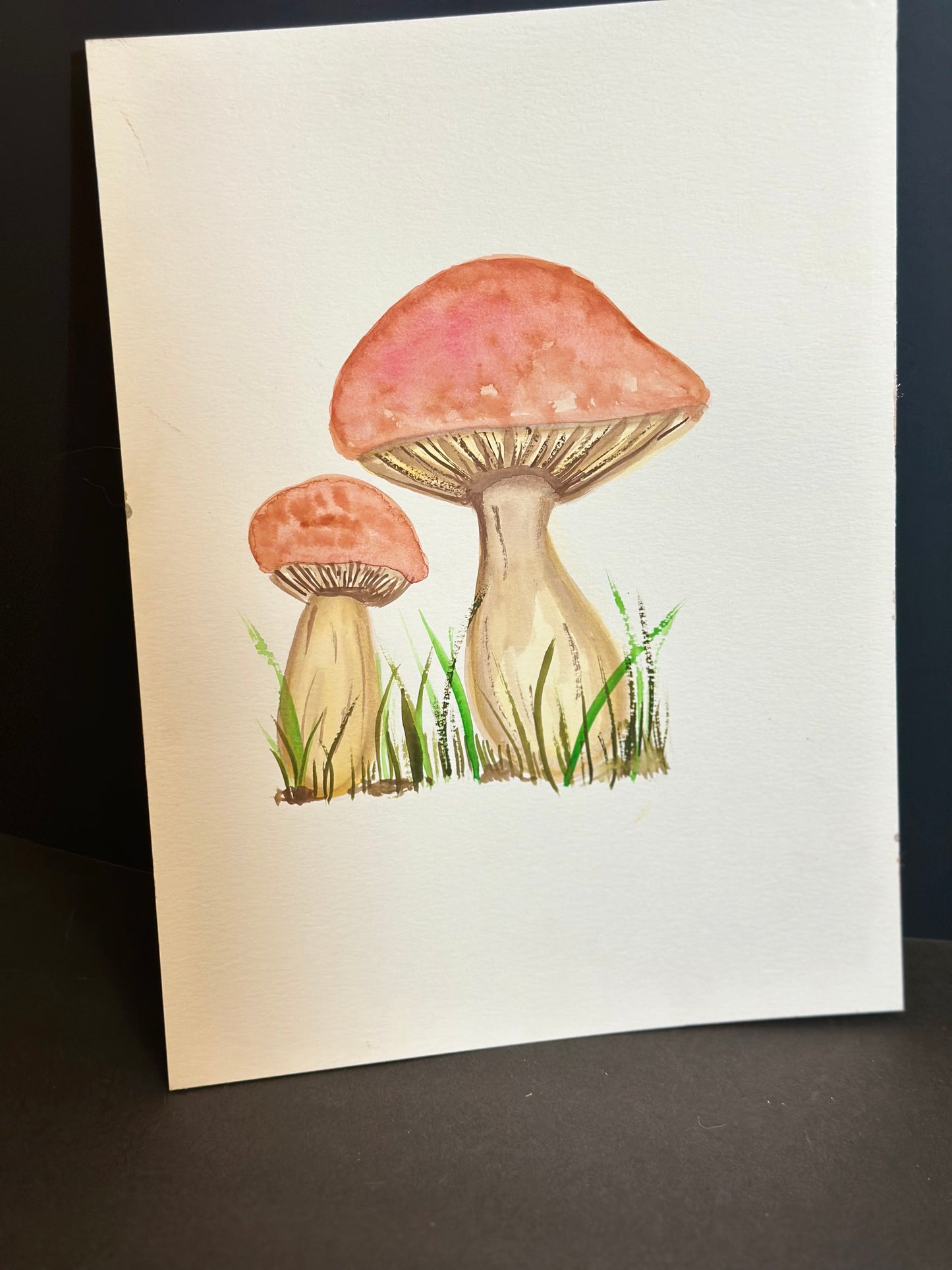 Mushroom water color painting